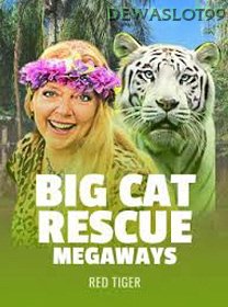 Big Cat Rescue Megaways